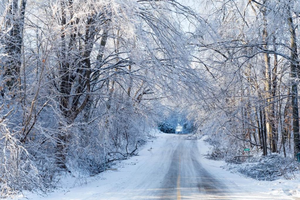 Ice Storms How To Prevent Possible Damage Will Marshall