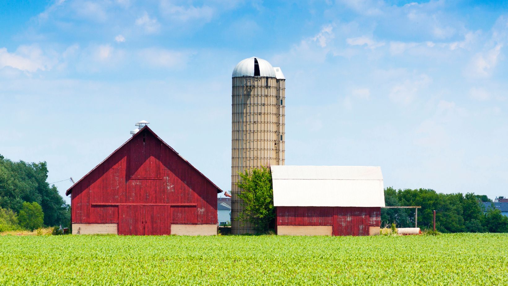 How Does Farm Insurance Benefit The Farmer - WMIB